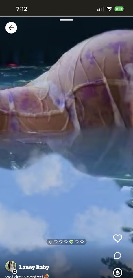 Laney Baby freie beste archiv