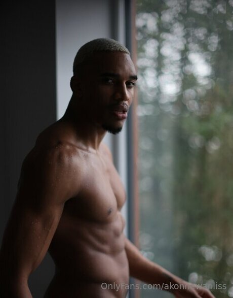 Akonnewanliss pornostar nette archiv