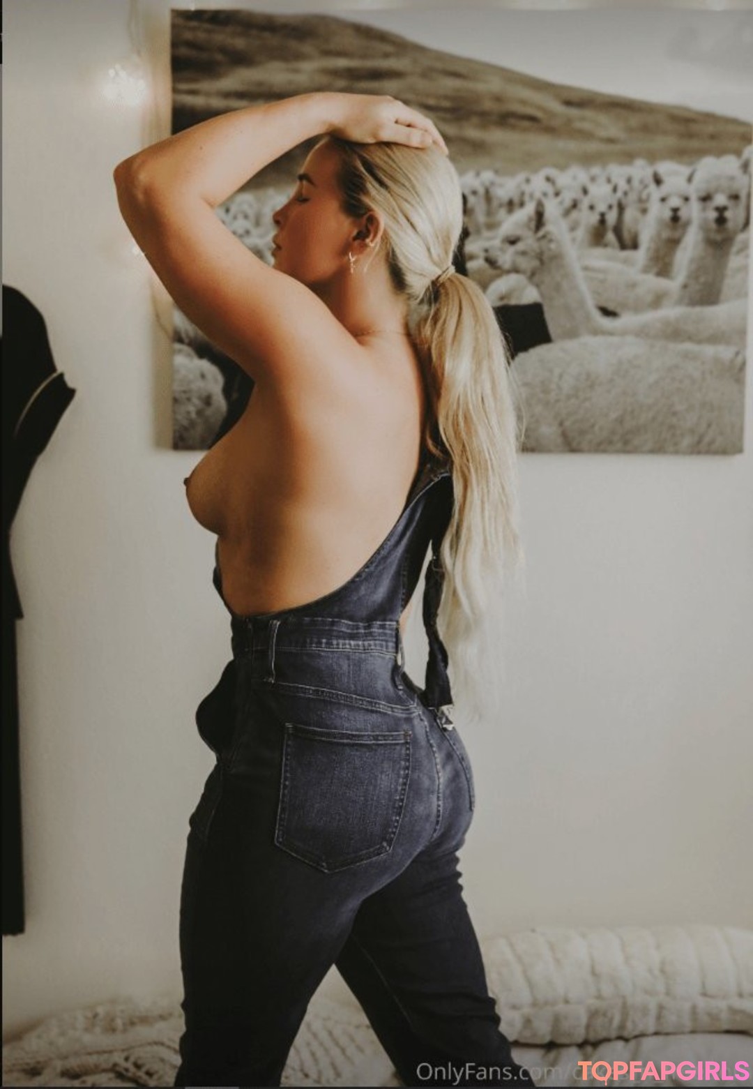 Cakes n Freedom hübsche top archiv