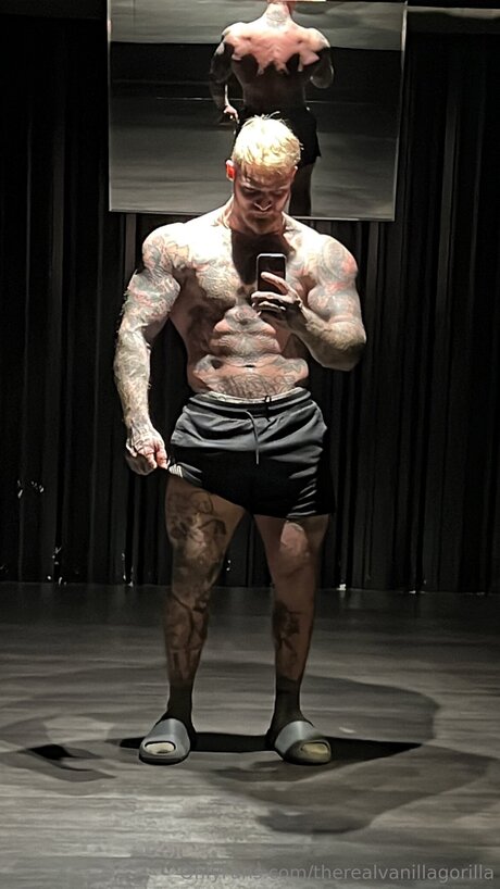 Therealvanillagorilla freie xxx bilder