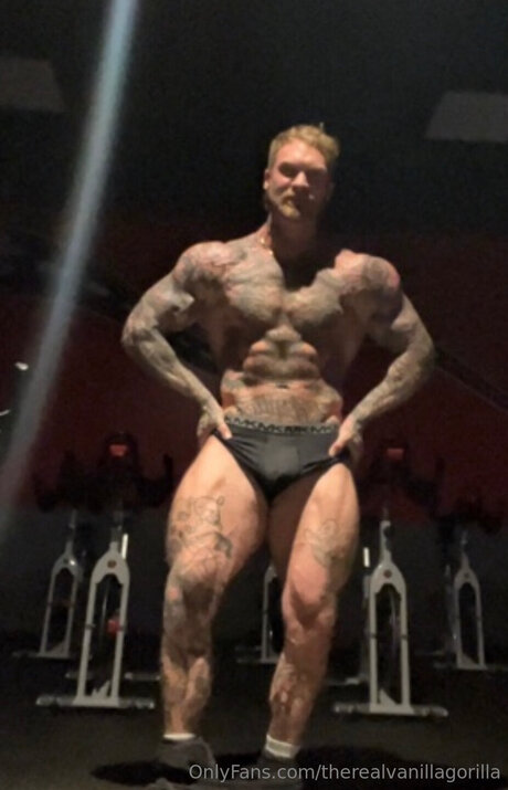 Therealvanillagorilla erotische erwachsene galerie