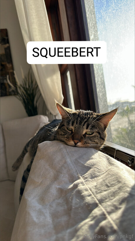 Pnkgf model exklusive foto