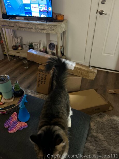 Ilovepussycats111 erotische kunst archiv