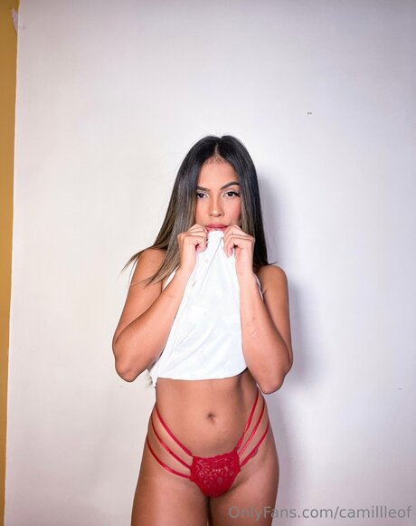 Camillleoff beste kunst archiv