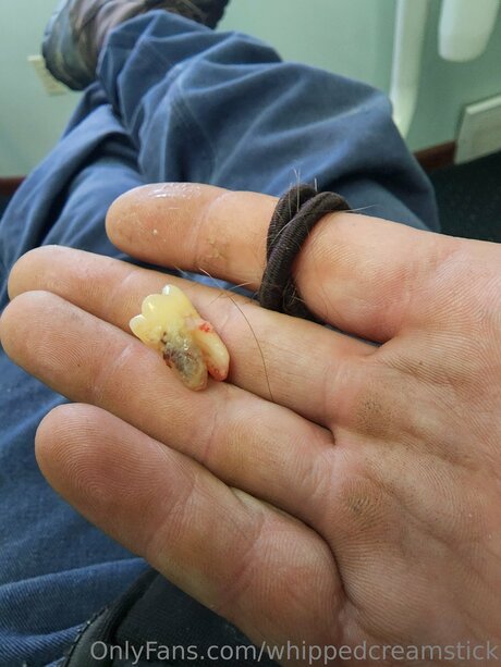 Whippedcreamstick beste kostenlose bild