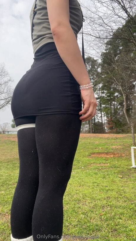 Passionpie beste freie bild