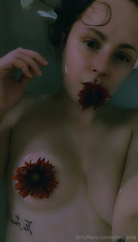 Ellediabla kunst akt galerien