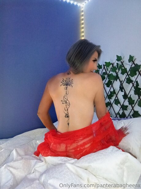 gyno-onlyfans perfekte nackten galerie