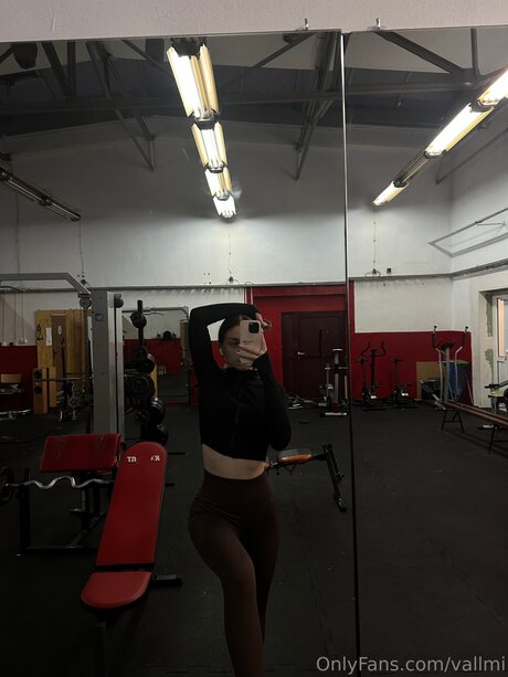 Vallmi hd schöne galerie