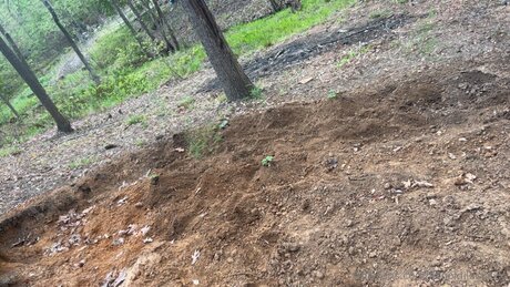 Xxgoldilocksxx top xxx archiv