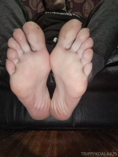 Trippykoala425 kunst archiv