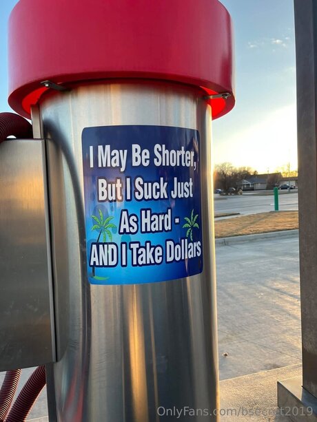 Bsecret2019 freie schöne archiv