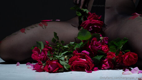 asiatische gilf-onlyfans kostenlose schöne bilder