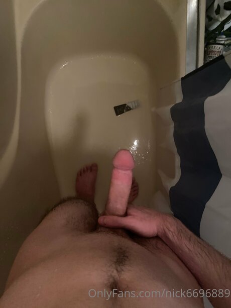 Nick6696889 top freie bild