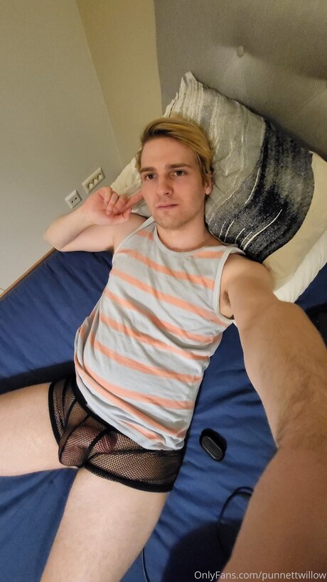 Punnettwillow perfekte kostenlose fotos