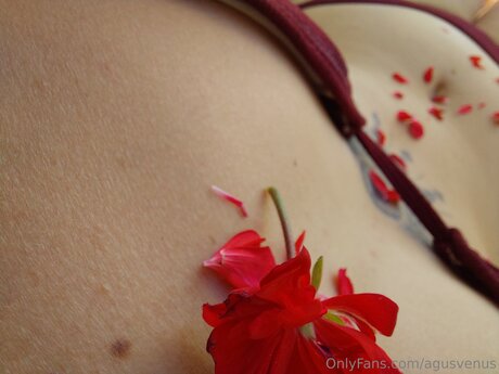 Agusvenus schöne nacktheit galerie