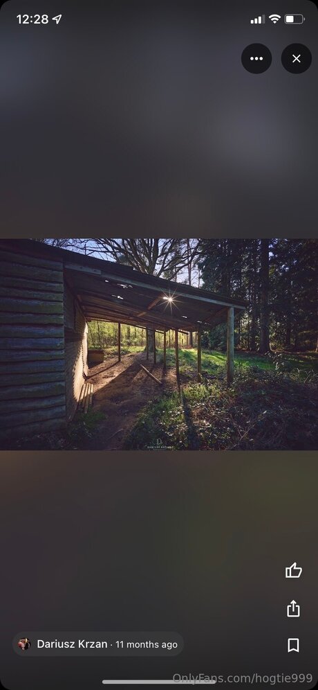 Hogtie999 freie beste foto