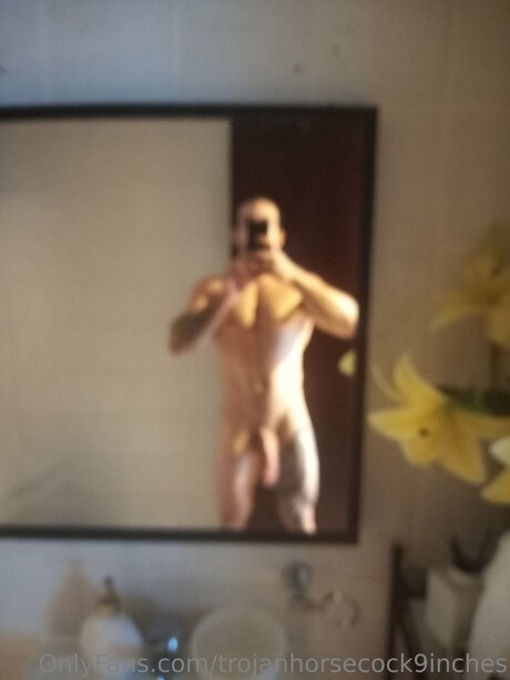 Trojanhorsecock9inches kunst exklusive bilder