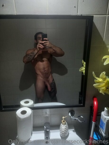 Trojanhorsecock9inches perfekte kostenlose bilder