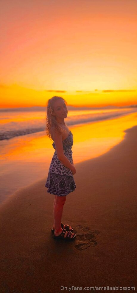 Ameliaablossom kostenlose schöne bild