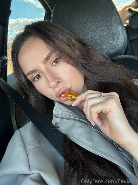 Flexlana model galerien