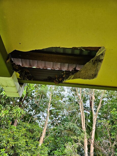 britische teen-onlyfans beste nackte fotos