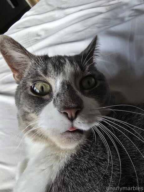 latina-mutter nur fans exklusive pornografische galerien