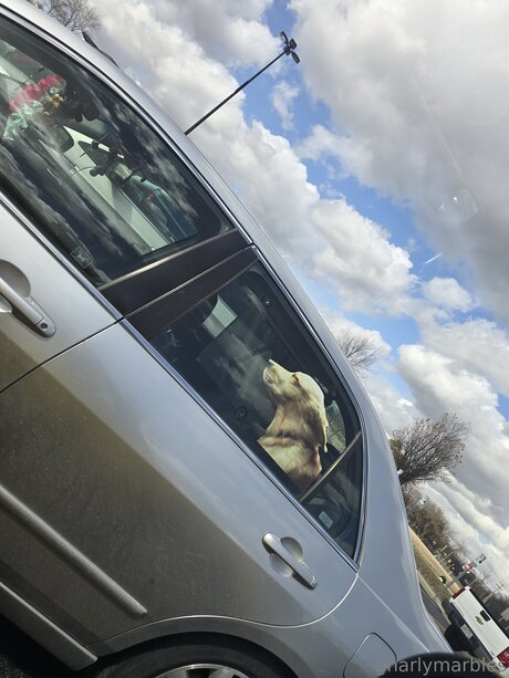 schöne latina-onlyfans nacktheit porno bilder