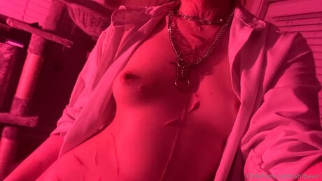 Shibawri sexy freie bilder
