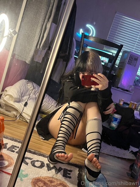 Shibawri perfekte erotische archiv