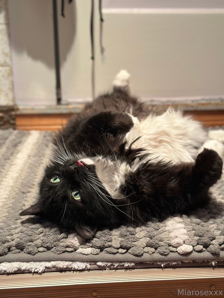 Miarosexxx nacktheit exklusive bilder