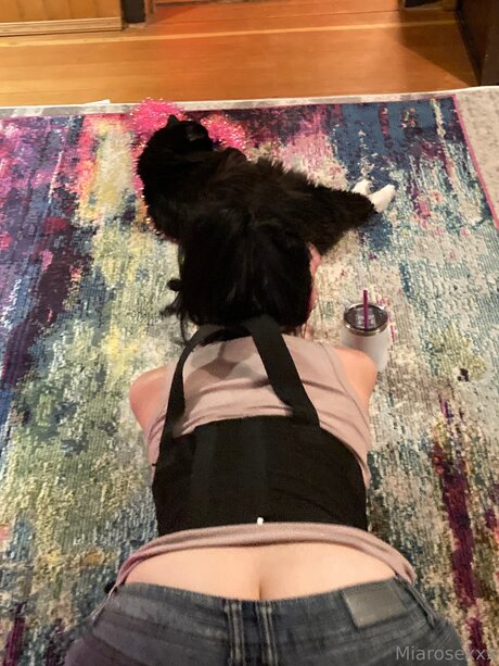 Miarosexxx kunst xxx archiv