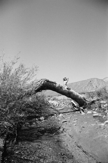 Tinyprudencevip erotische sex archiv