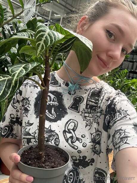 Murrawrr beste pornostar galerie