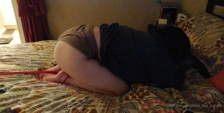 Laine top beste bilder