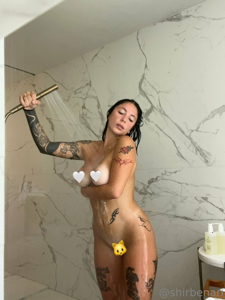 Shir Ben Ari sexy kunst bild