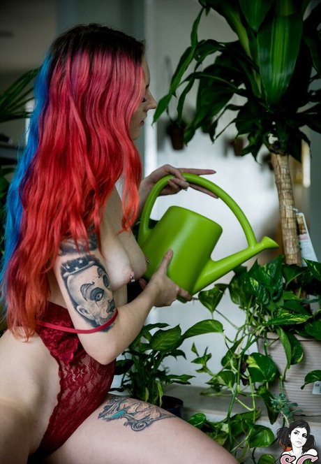 Zorii erotische pornostar galerie