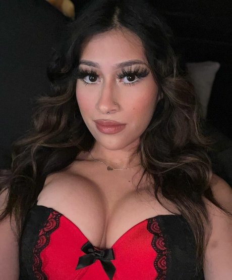 Zoolema kunst schöne bilder