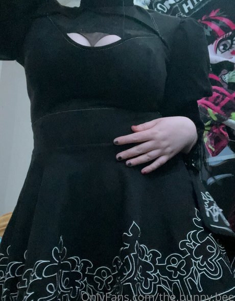 zomcel beste schöne galerien