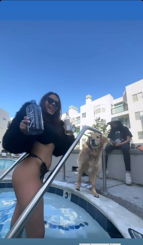 Noheli_ kostenlose top galerien