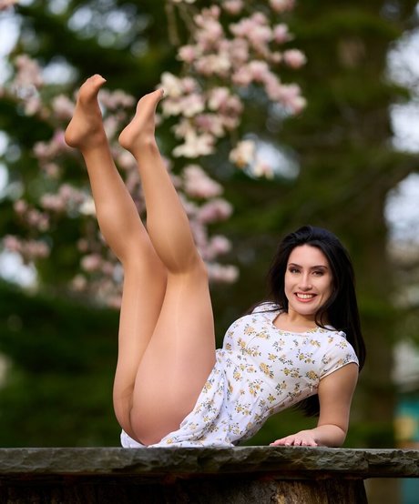 Kylie Kennedy sexy pornostar galerien