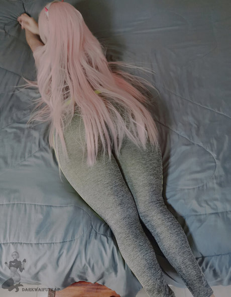 nahaufnahme muschi nur fans beste kostenlose fotos