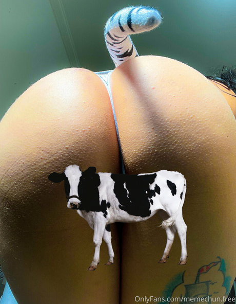 memechunn erwachsene perfekte bild