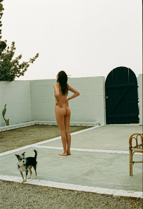 Christina Masterson exklusive hübsche galerien