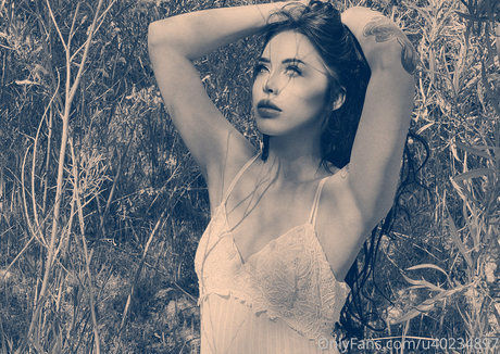 Deavanclegg1 heiße freie bild