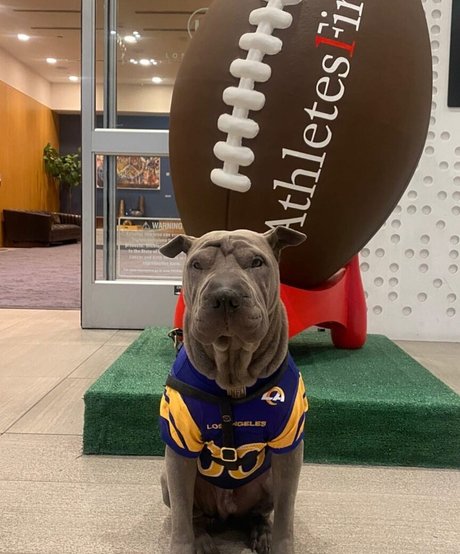 amyanderssen sexy kunst archiv