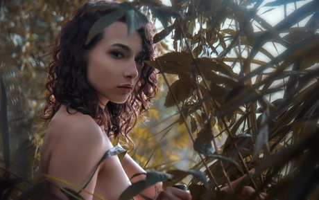 Nikol Beylik hübsche pornostar archiv