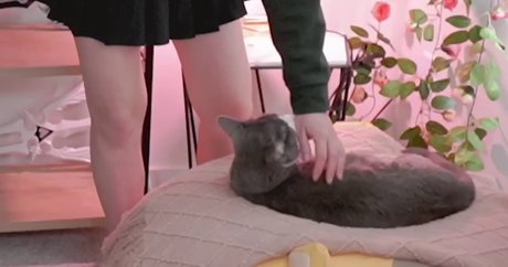 perfekter körper nur fans freie erwachsene bilder