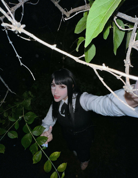 Junkenstein hübsche beste foto