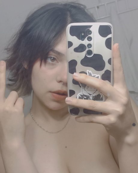 Melowo schöne exklusive galerien